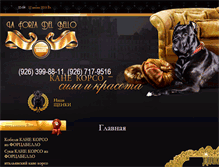 Tablet Screenshot of forzabello.ru